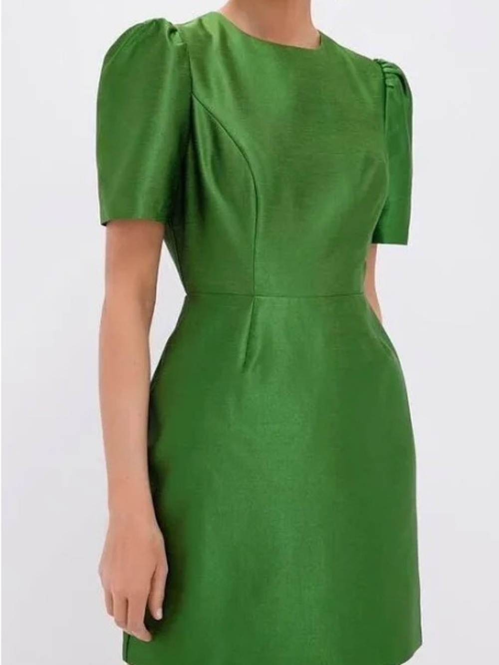 Tuckernuck Green Puff-Sleeve Mini Dress